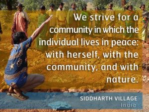 What is an Ecovillage 3