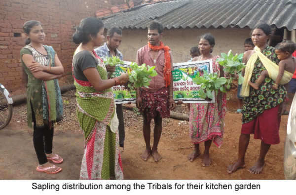 Thread India Sapling Distribution GENOA 2016 Global Ecovillage Network