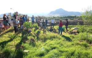 sustainability assessment