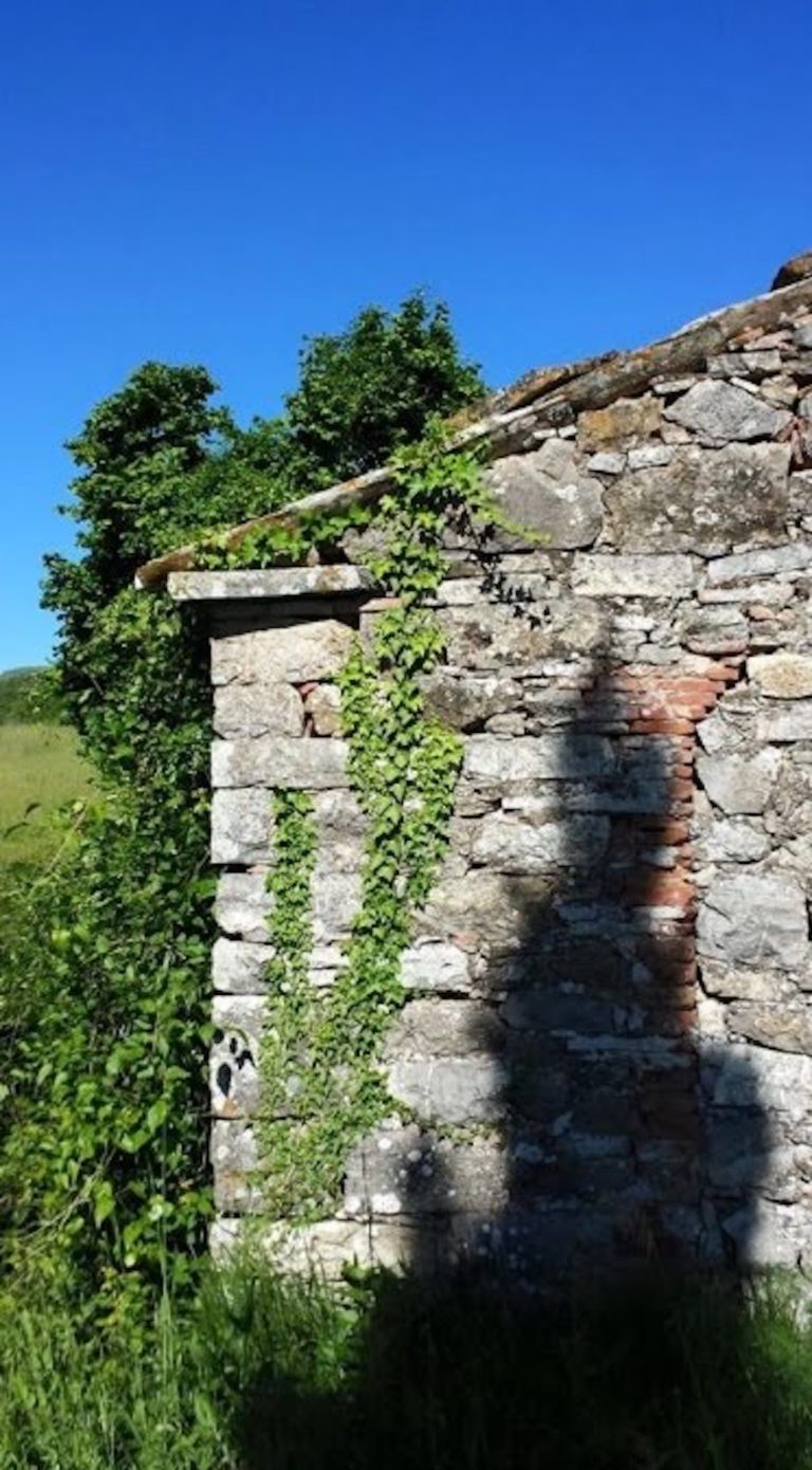 House Wall BIG - Global Ecovillage Network