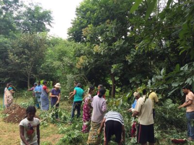 Hildur Jackson Award 2020 finalist: TI Ecovillage, India