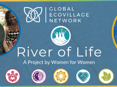 Creating healthy, resilient food systems