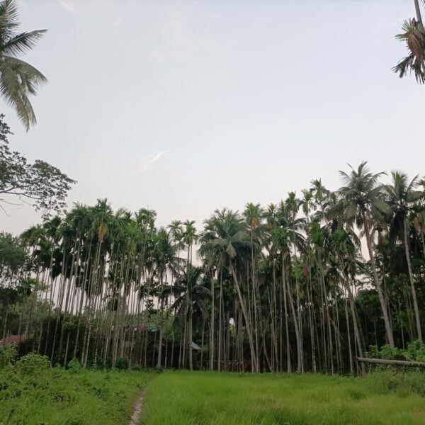 Green Village West Bengal Global Ecovillage Network