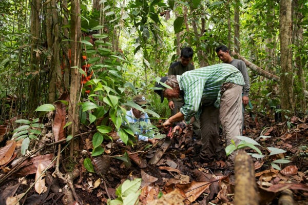 Photo By Nanang Sujana Cifor - Global Ecovillage Network